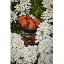 Dipované Boilies Broskev &...